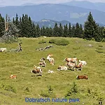 Haus 3laendereck At-slo-it An Der Piste *