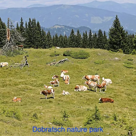 Haus 3laendereck At-slo-it An Der Piste *