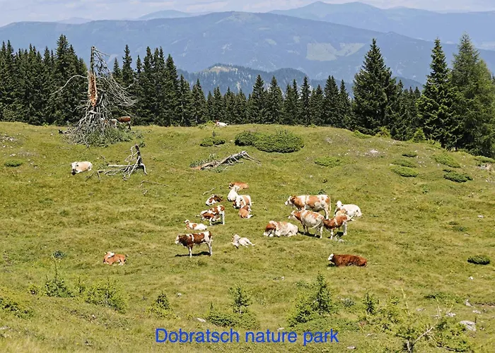 Haus 3laendereck At-slo-it An Der Piste *